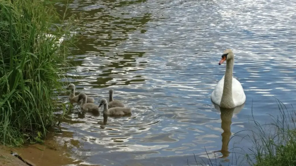 שמורת טבע בדרום פולין