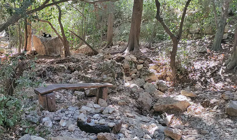 נחל לוטם חיפה