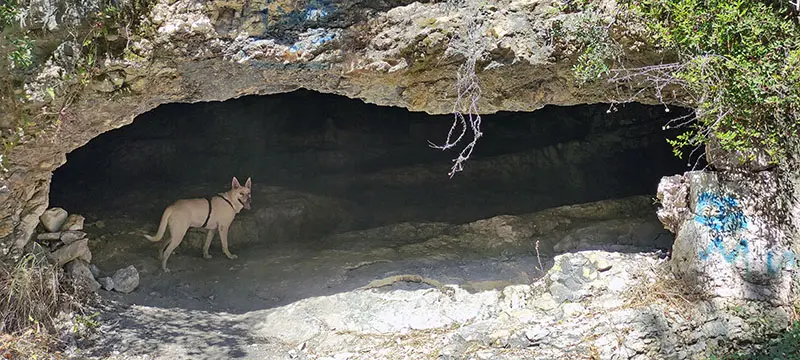 מערה בנחל לוטם