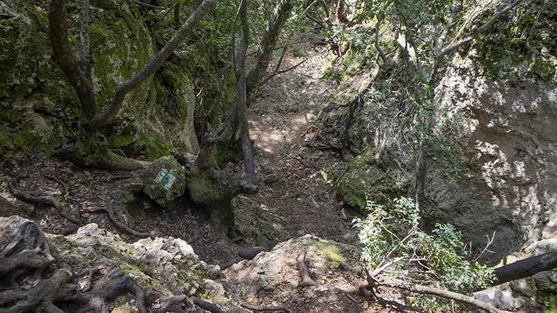 מפלונים לירידה שנחל כלח בשוויצריה הקטנה