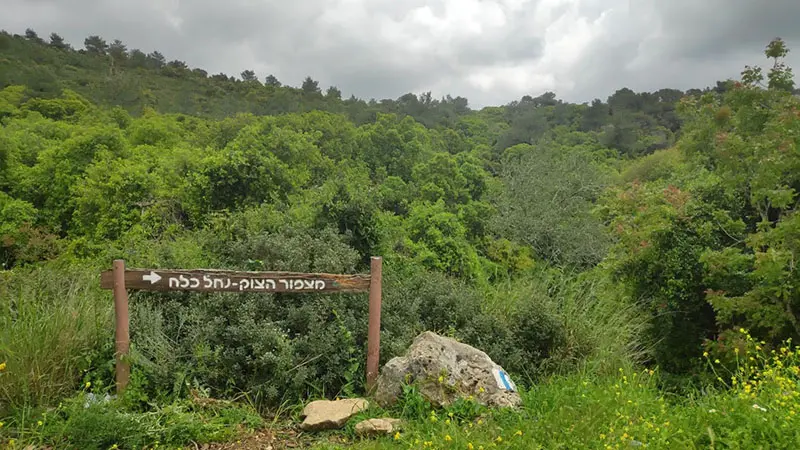 מצפור הצוק נחל כלח