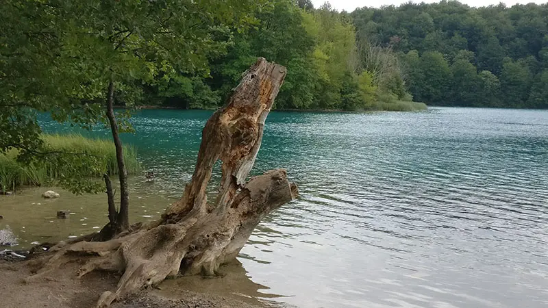 אגמי פלטיביצה