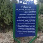 מערת הפלמח (1)