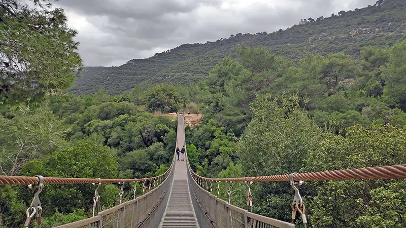 פארק הגשרים התלויים בנשר