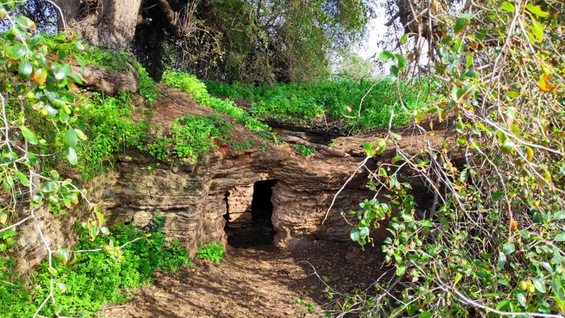 מערות קבורה באתר מערות אפקה