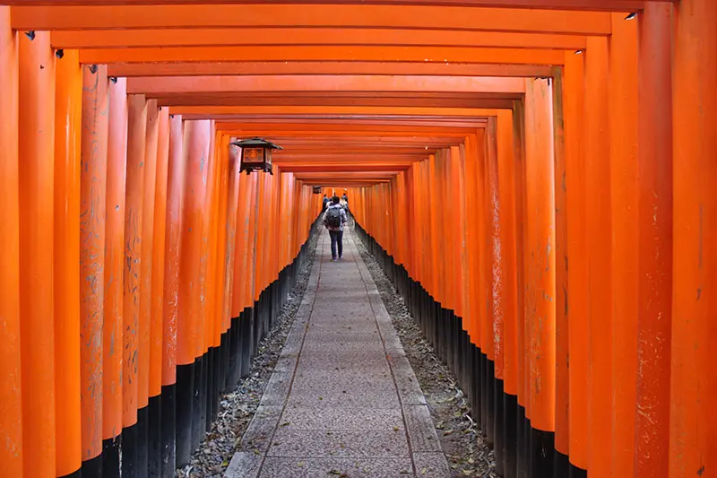 מקדש מפורסם בקיוטו