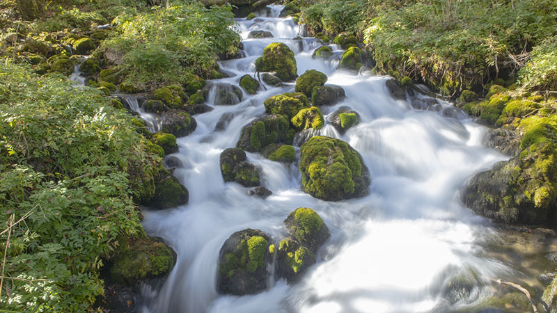 מפלי טארה מונטנגרו