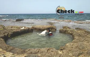 פארק שקמונה