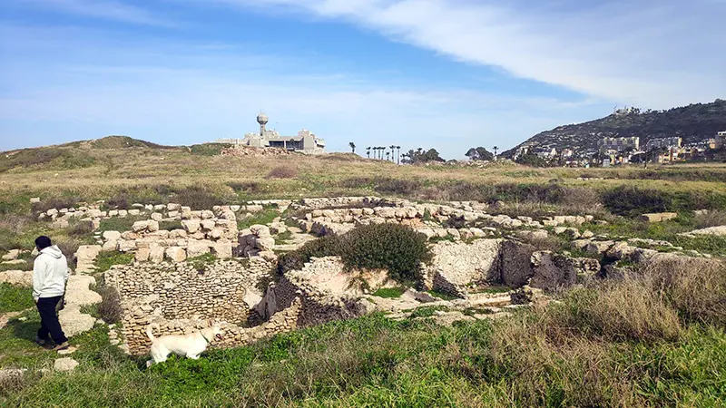 עתיקות בפארק שקמונה