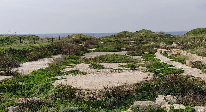 פסיפסים בחוף שקמונה
