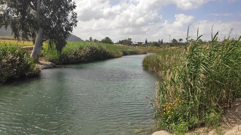 נחל הקיבוצים