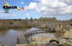 שמורת נחל תנינים - מסלול טיול