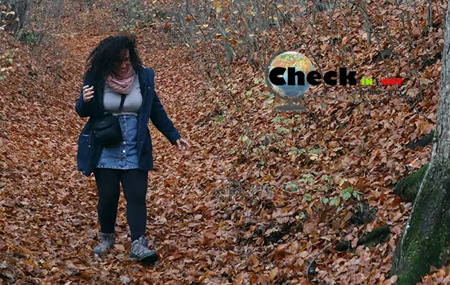 סיבות למה לטוס לטייל לבד בלוג טיולים