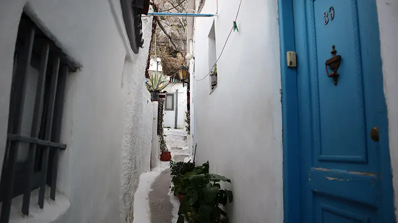 שכונת אנאפיוטיקה