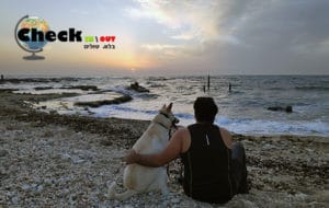 טיולים עם כלבים - איך לשמור על הכלב בטיול