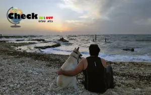 טיולים עם כלבים - איך לשמור על הכלב בטיול