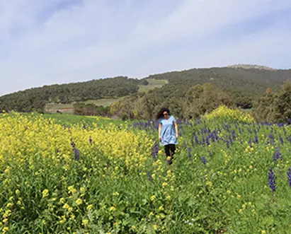 שיר ים פסקה