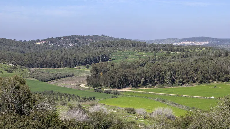 מטה יהודה באביב