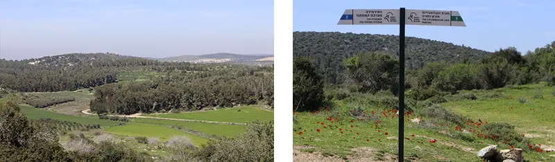 סימון מסלול חורבת מדרס מטה יהודה