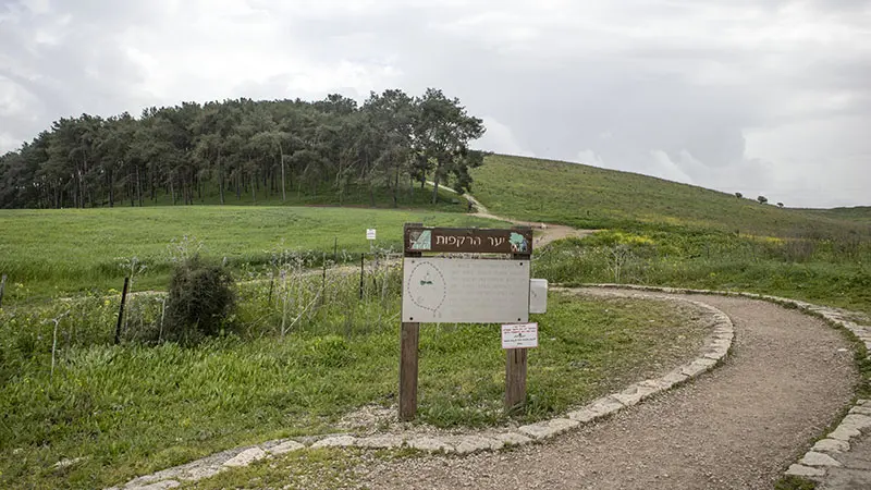 גבעת הרקפות ברמות מנשה