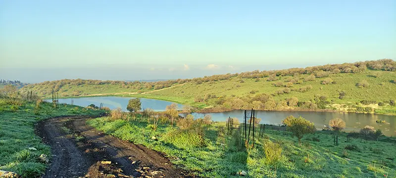 מאגר גלעד ומאגר רז