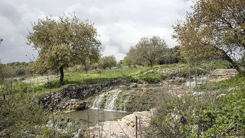 מפלי רז זרימה