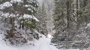 טיול שלג בקרפטים הרומניים