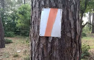 שביל רמות מנשה