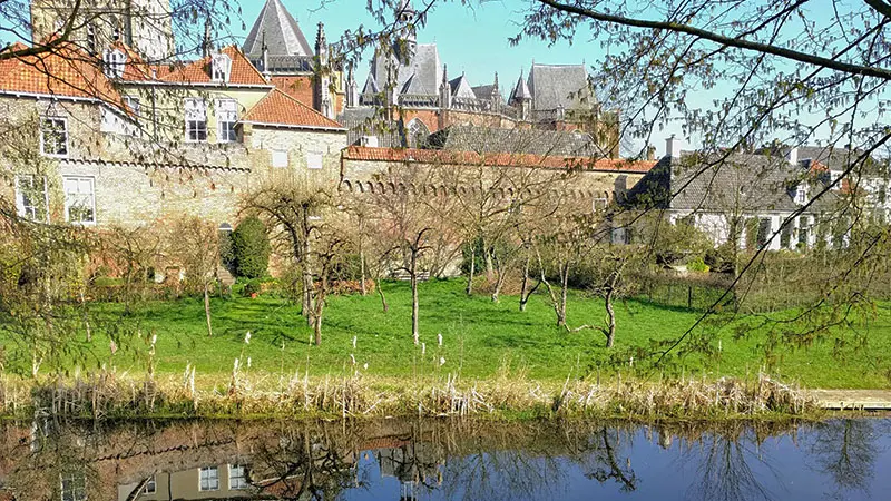 עיר האנזה_רק עתיק_רחלי דגן