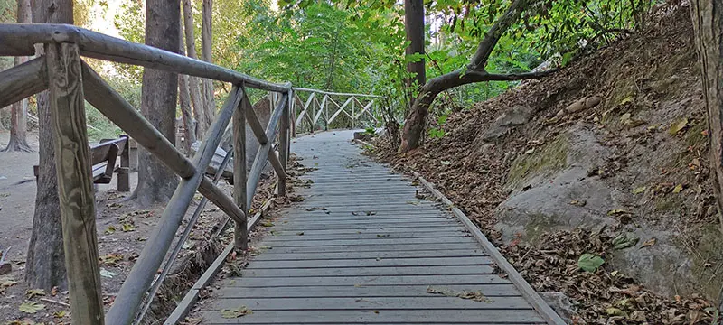 שלכת בנחל השופט