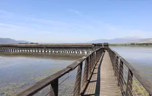 מסלול טיול בשמורת עמק החולה