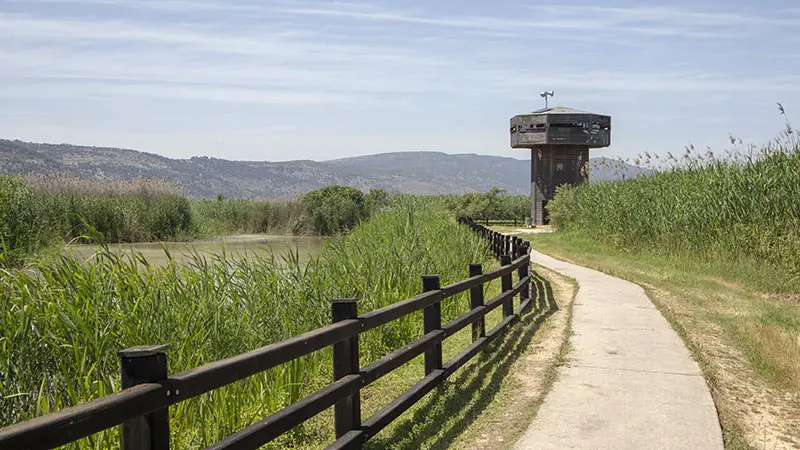 מגדל תצפית בשמורת עמק החולה