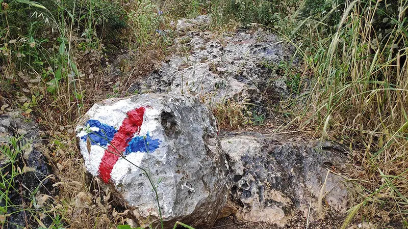 סימון שבילים ביער עופר