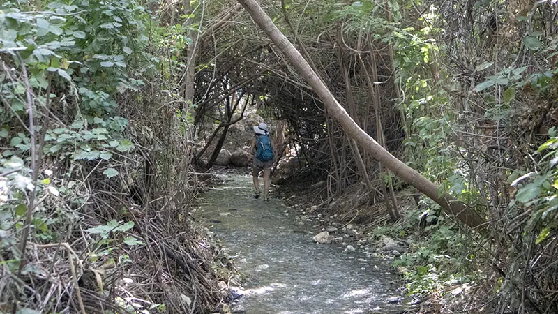 מסלול רטוב בנחל שוקק