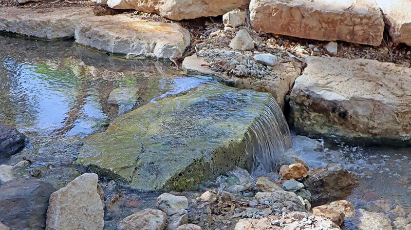 זרימת מים בעין שוקק