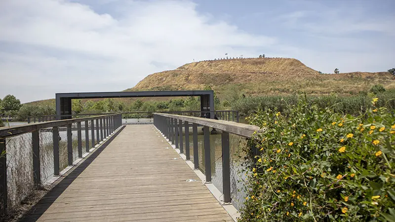 אגם מלאכותי בהוד השרון