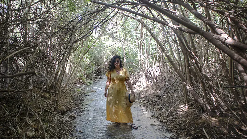 מסלול רטוב בנחל שוקק