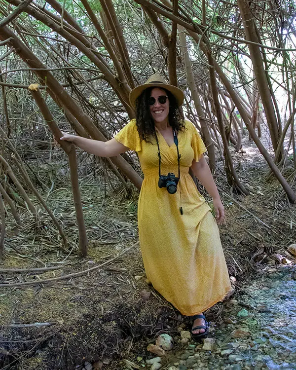 עמק המעיינות שיר ים