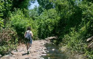 שמורת תל דן