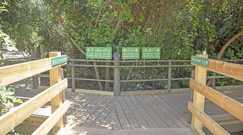 שמורת נחל דן סימון שבילים