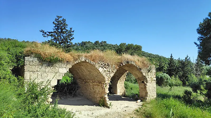 חורבת שמרי ביער עופר