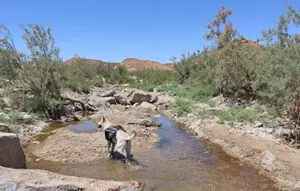 עין סהרונים