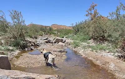 עין סהרונים