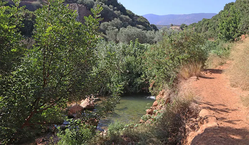 מסלול נחל צלמון