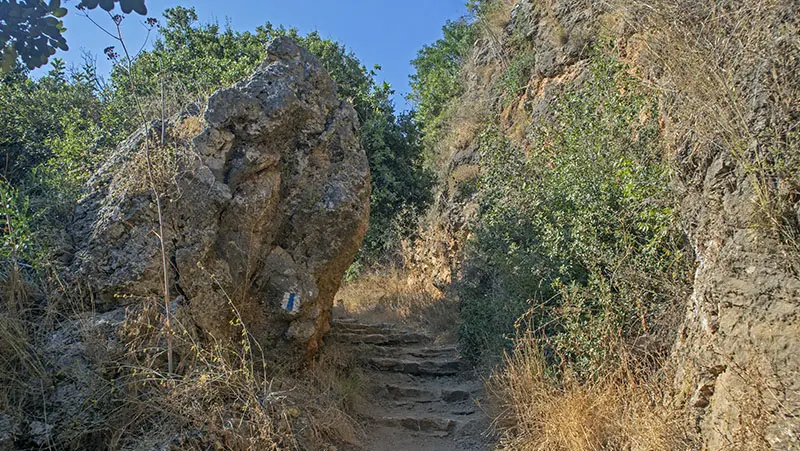 מדרגות בדרך לנחל צלמון