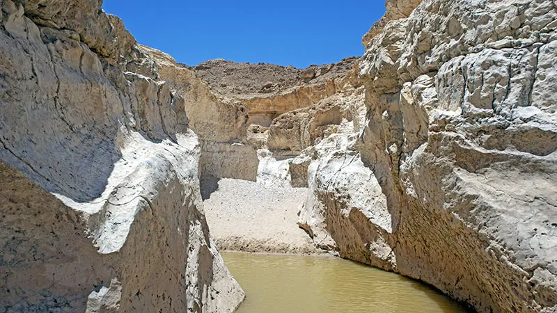 נחל נקרות גב מלא מים