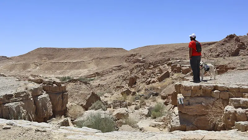 השביל הירוק במסלול עין סהרונים ונחל נקרות