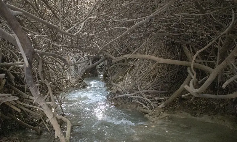 שביל המפלים הלבנים ליד עין הנציב