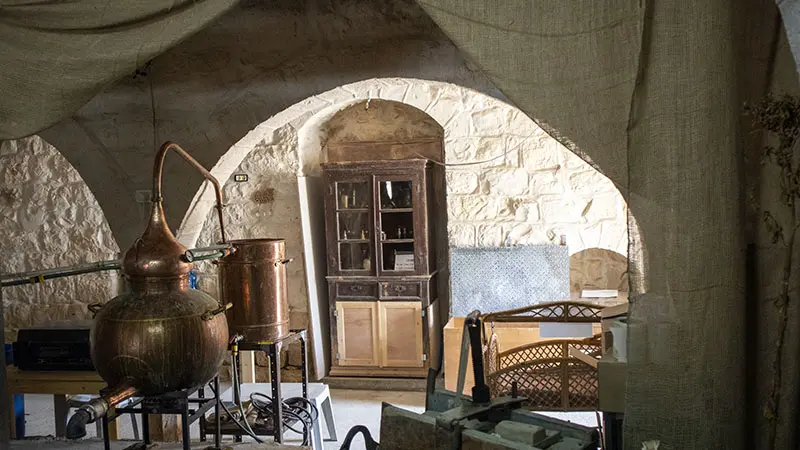 בית הטבק במעיליא