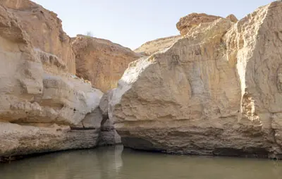 עין ירקעם בקיץ